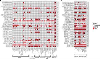 Temperature Affects Antagonism Among Coral-Associated Bacteria
